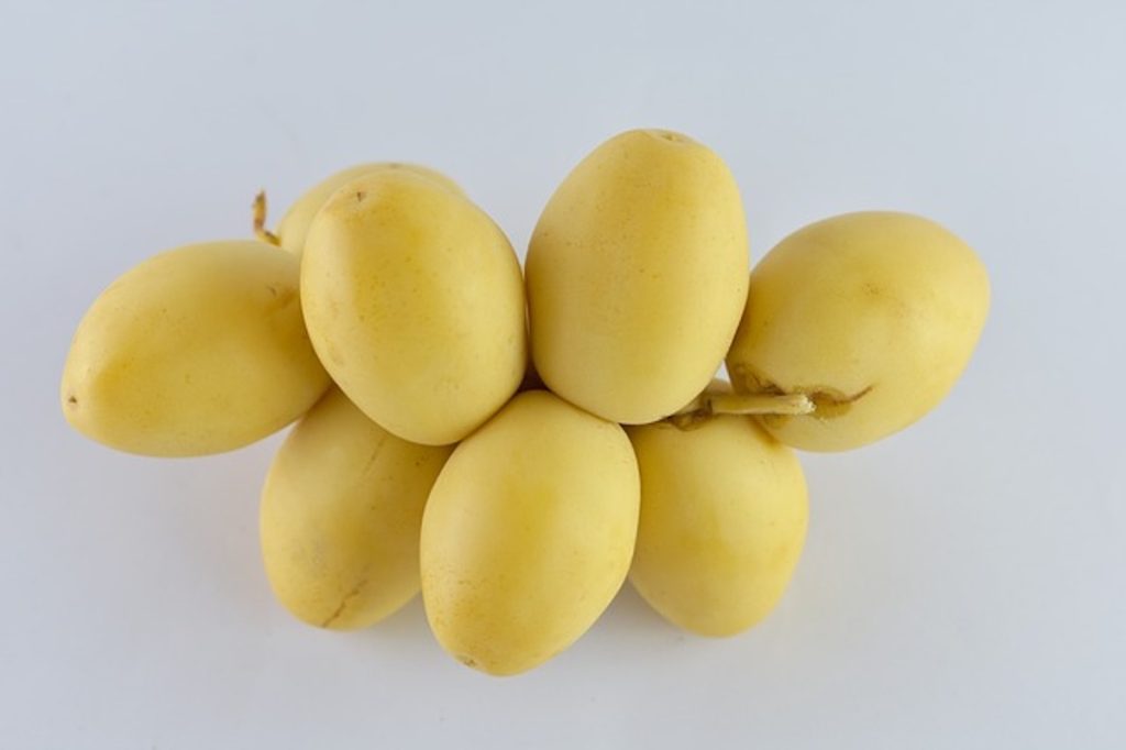 Hidup Sehat Rasullah dari Pola Makan