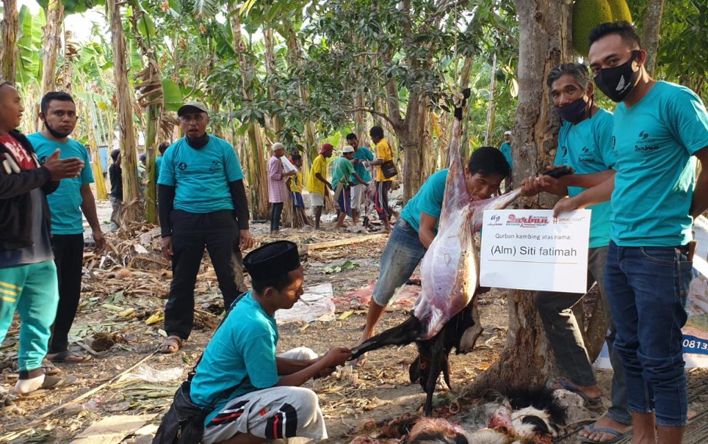 Qurban Puber Cahaya Hijrah