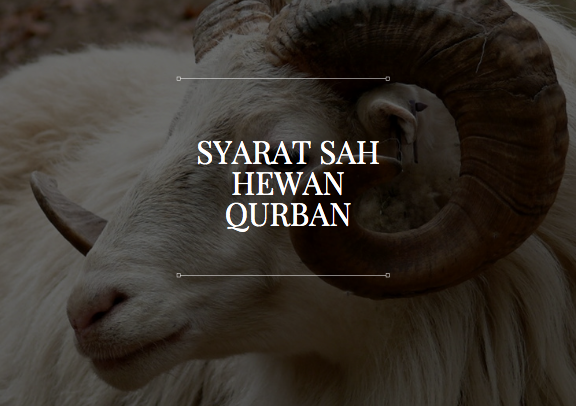 Berikut Syarat Sah Hewan Qurban yang Perlu di Ketahui