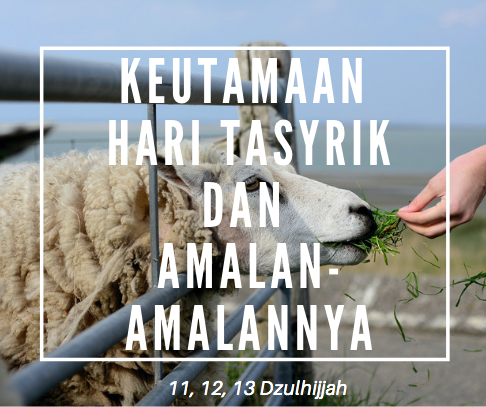 Keutamaan Hari Tasyrik dan Amalan-amalannya Yang di Sunnahkan Untuk di Kerjakan